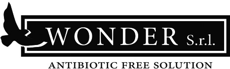 WONDER Srl